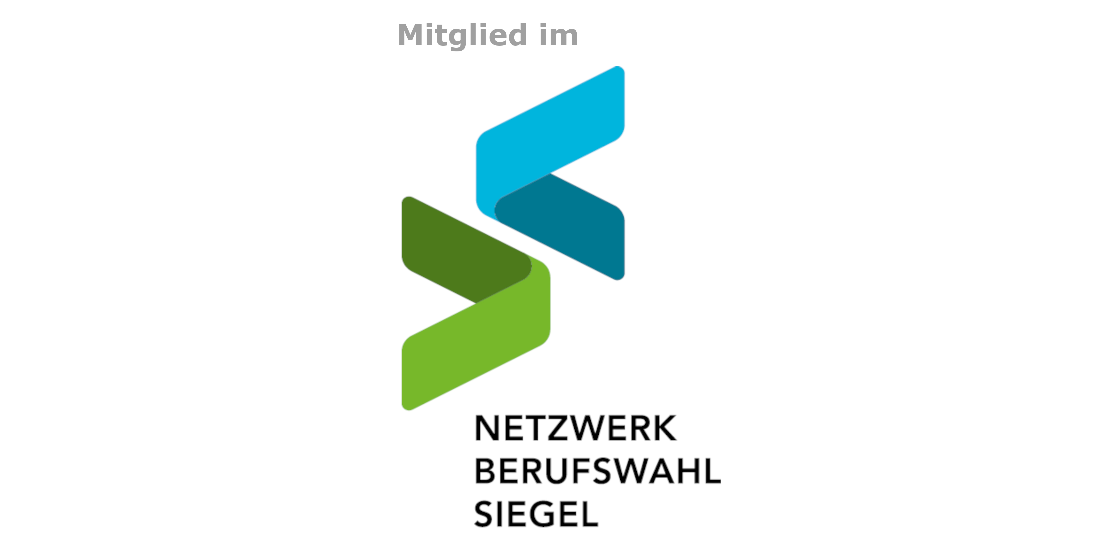 Logo: Netzwerk Berufswahl Siegel. Externer Link zum Netzwerk Berufswahl Siegel